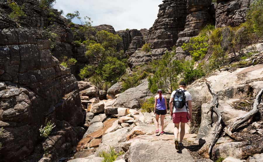Grampians National Park Small-Group Eco Day Tour - Why this day trip works from Melbourne