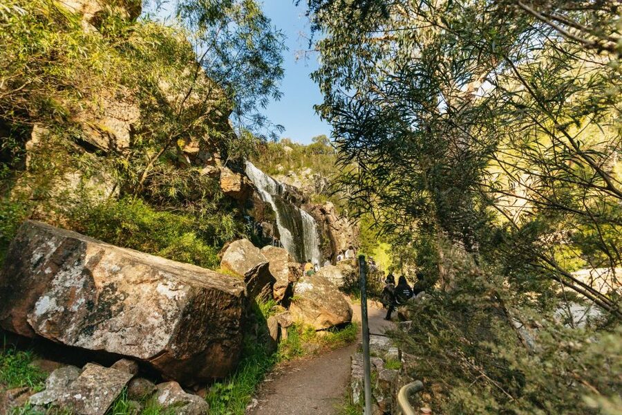 Grampians National Park Small-Group Eco Day Tour - Halls Gap: lunch, wildlife, and a welcome pause