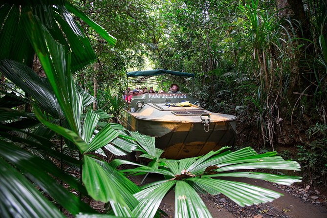 Grand Kuranda including Skyrail and Kuranda Scenic Railway - Five things to know before you book