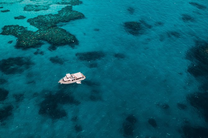 Great Barrier Reef Cruise from Townsville or Magnetic Island - Why this Townsville reef trip is worth considering