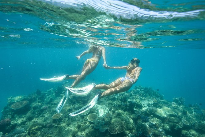 Great Barrier Reef Cruise from Townsville or Magnetic Island - Who will enjoy this cruise most