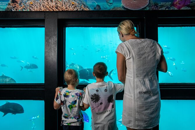 Great Barrier Reef Full Day Adventure - What the $200.11 price really covers