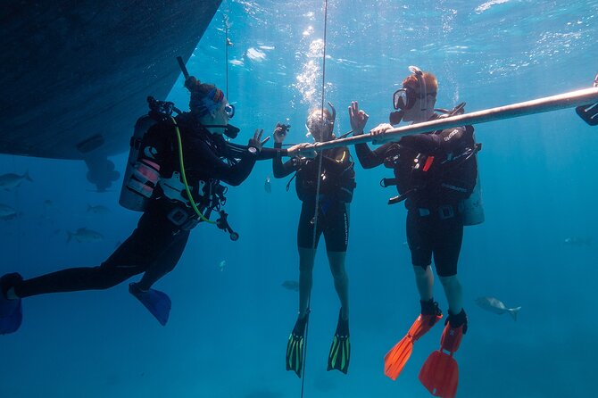 Great Barrier Reef Full Day Tour from Cairns - Certified scuba and the chance for three sessions