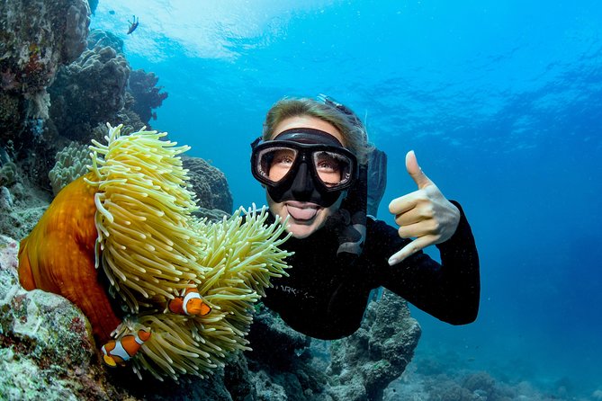 Great Barrier Reef Full Day Tour from Cairns - Lunch, showers, and the practical comfort factor