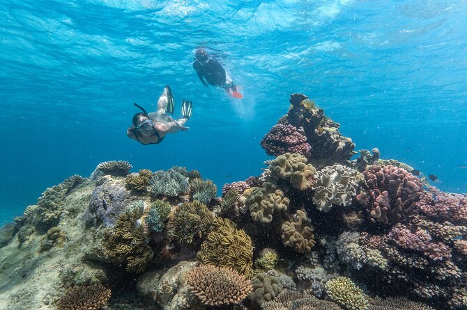 Great Barrier Reef Full Day Tour from Cairns - First water session at the Great Barrier Reef