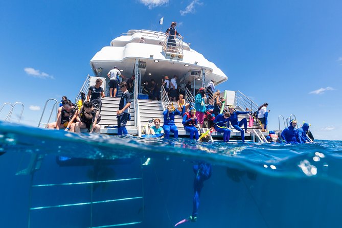 Great Barrier Reef Snorkeling and Diving Cruise from Cairns - Starting at the Reef Fleet Terminal before 8 a.m.