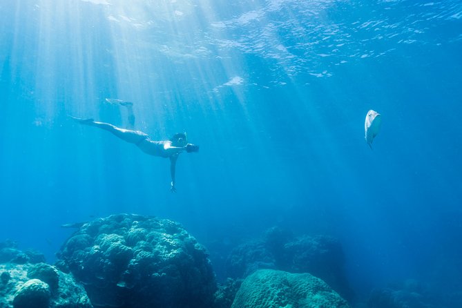 Great Barrier Reef Snorkeling and Diving Cruise from Cairns - Is $190.07 a fair price?