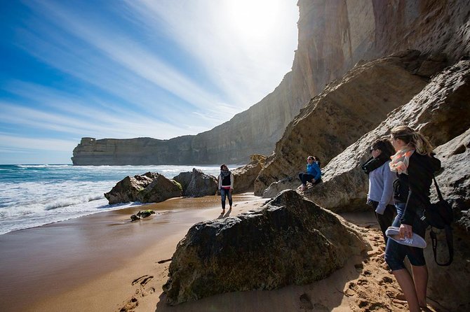 Great Ocean Road, 12 Apostles, Rainforest & Morning Tea-Melbourne - Great Otway National Park and the rainforest change