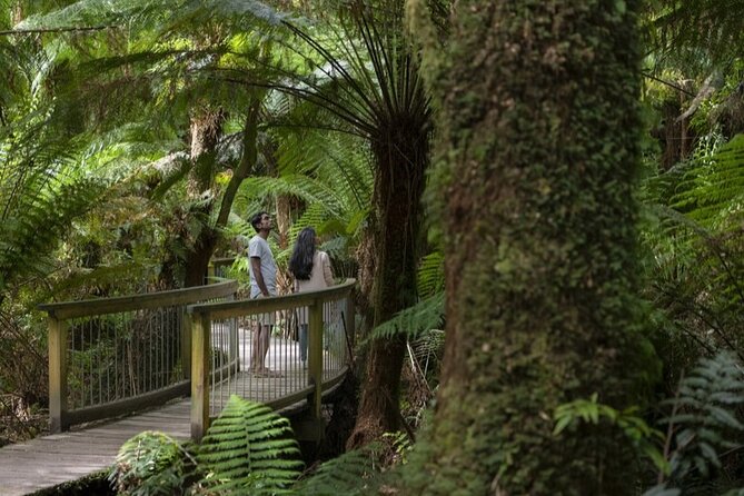 Great Ocean Road, 12 Apostles, Rainforest & Morning Tea-Melbourne - 7:35 am departure and the long road west