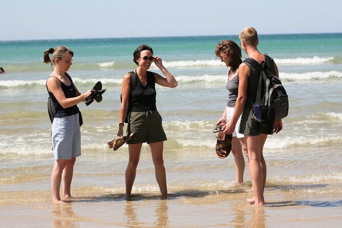 Great Ocean Road Full-Day Sunset Eco Tour from Melbourne - Lorne, lunch, and a useful break