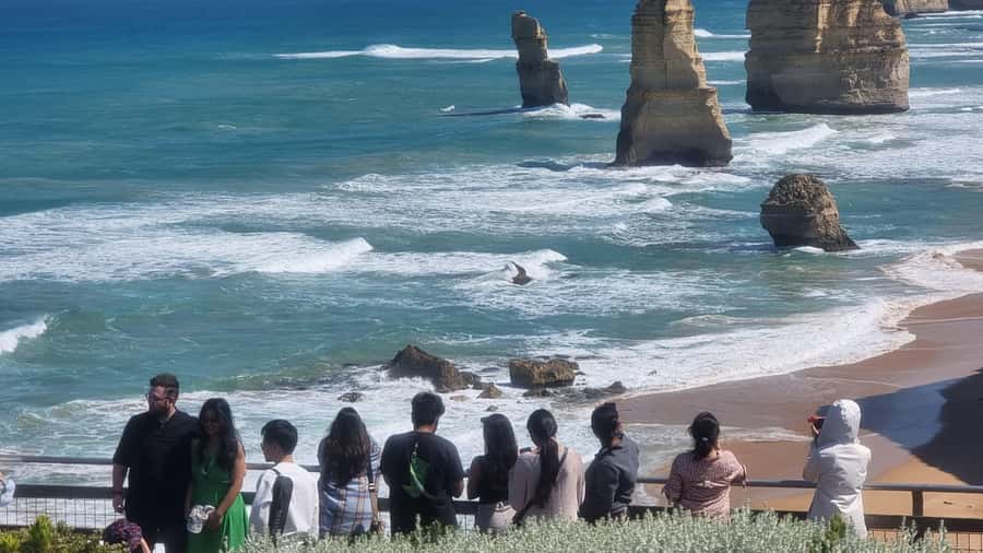 Great Ocean Road Lux Tour Max 11 Hotel Pickup - Anglesea and the quieter wildlife search