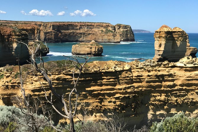 Great Ocean Road Reverse Itinerary Boutique Tour - Max 11 Guests - Lunch in Apollo Bay and the coastal drive