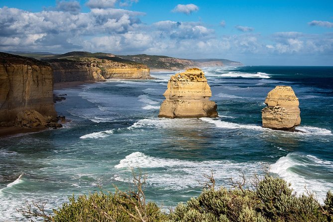 Great Ocean Road Reverse Rainforest & 12 Apostles from Melbourne - A picnic among the Otway ferns