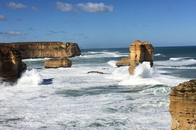 Great Ocean Road Reverse Rainforest & 12 Apostles from Melbourne - Searching for koalas near Wye River