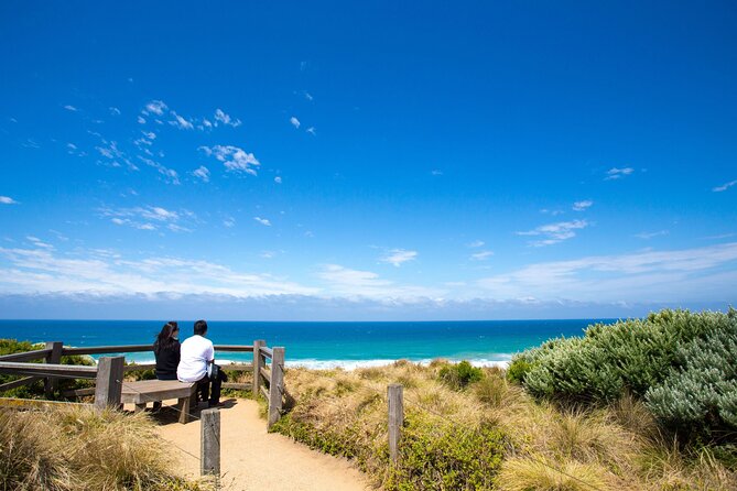 Great Ocean Road Reverse Tour with Iconic Stops & Wildlife - The Great Ocean Road becomes the main event