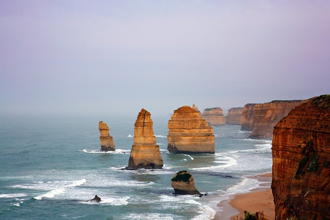 Great Ocean Road Reverse Tour with Iconic Stops & Wildlife - Apollo Bay and the late lunch reality