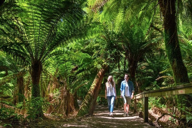 Great Ocean Road Small-Group Eco Tour from Melbourne - Apollo Bay and the practical lunch break