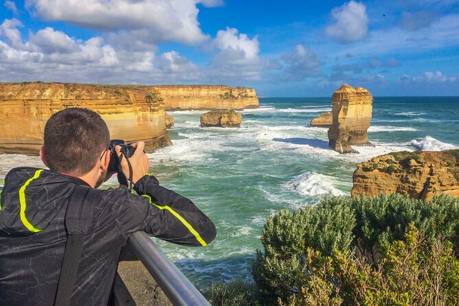 Great Ocean Road Small-Group Eco Tour from Melbourne - Kennett River and the search for koalas