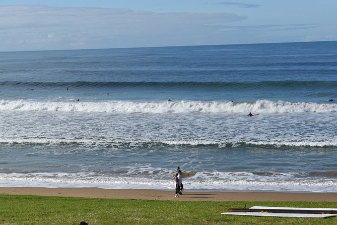 Great Ocean Road Tour Plus Koalas, Forest Walk and Morning Tea - Maits Rest brings a short forest walk