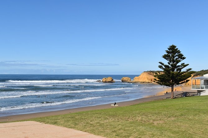 Great Ocean Road Tour Plus Koalas, Forest Walk and Morning Tea - Razorback and Island Arch add smaller coastal details