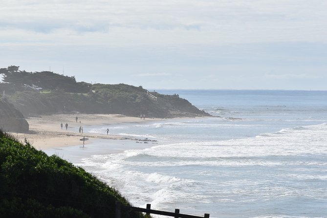 Great Ocean Road Tour Plus Koalas, Forest Walk and Morning Tea - Loch Ard Gorge is the day’s strongest final view