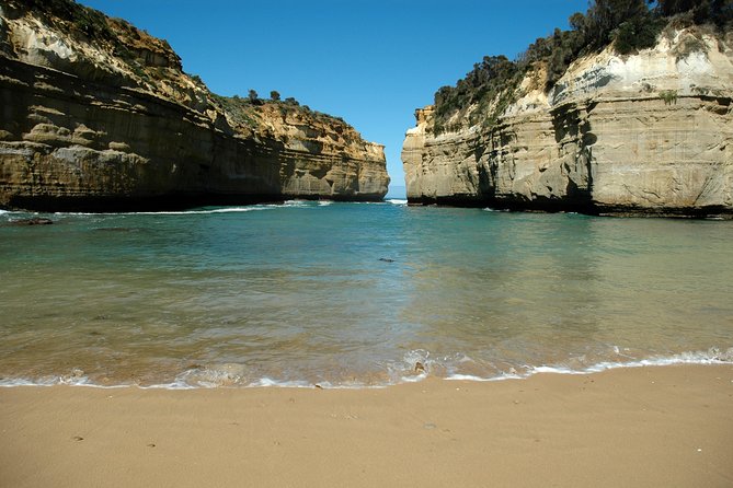 Great Ocean Road Tour Plus Koalas, Forest Walk and Morning Tea - Apollo Bay gives you the best real break