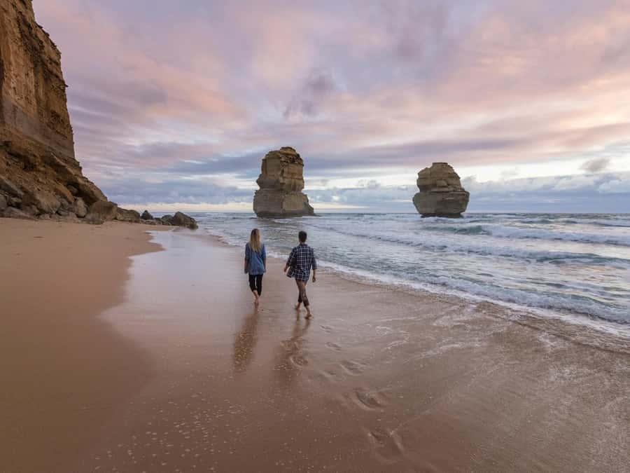 Great Ocean Road Tour PRIVATE LUXURY-FREE entry,hotel pickup - Mait’s Rest and Great Otway National Park