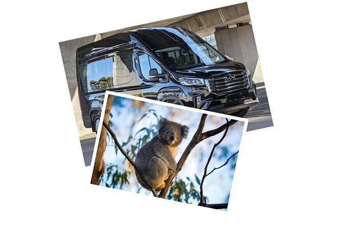 Great Ocean Road Tour Reverse –SML GRP-DLUX Mini Bus Hotel Pickup - Why the reverse route makes sense