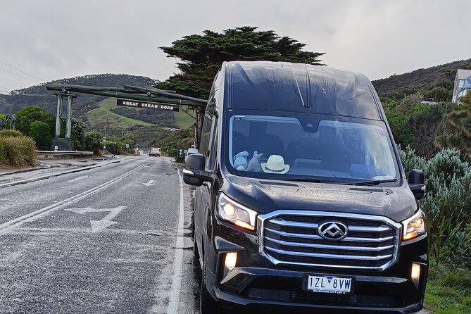 Great Ocean Road Tour Reverse –SML GRP-DLUX Mini Bus Hotel Pickup - Kennett River and the chance of wild animals