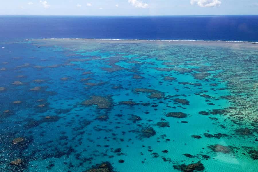 Green Island Fly & Cruise Package - Who will enjoy this day most