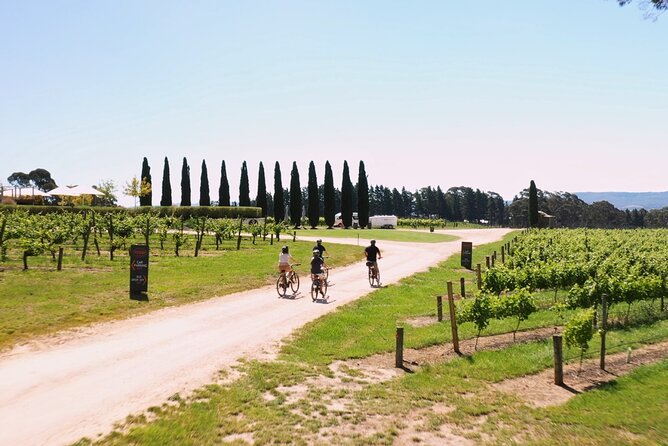 Hahndorf food and wine E-Bike Tour - Through Hahndorf to Udder Delights