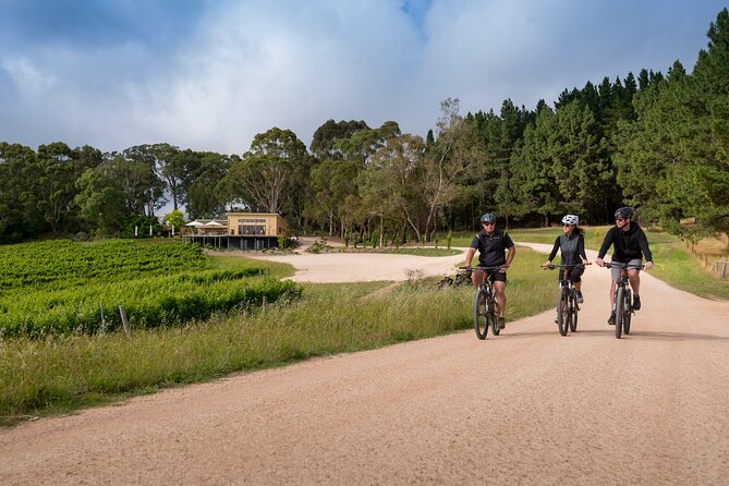 Hahndorf food and wine E-Bike Tour - Finishing at The Lane Vineyard