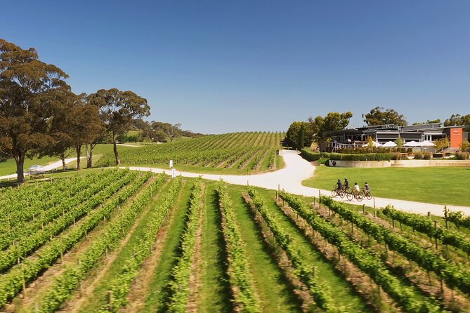 Hahndorf food and wine E-Bike Tour - The e-bike ride: easy, but not entirely passive