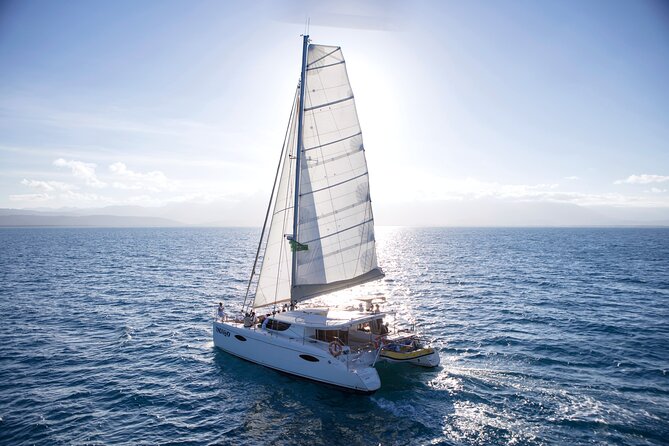 Half Day Low Isles Snorkelling Tour from Port Douglas - The glass-bottom boat option