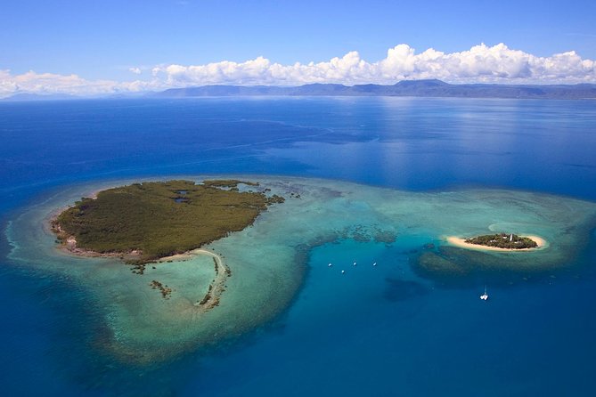 Half Day Low Isles Snorkelling Tour from Port Douglas - Snacks, tea, and the return trip