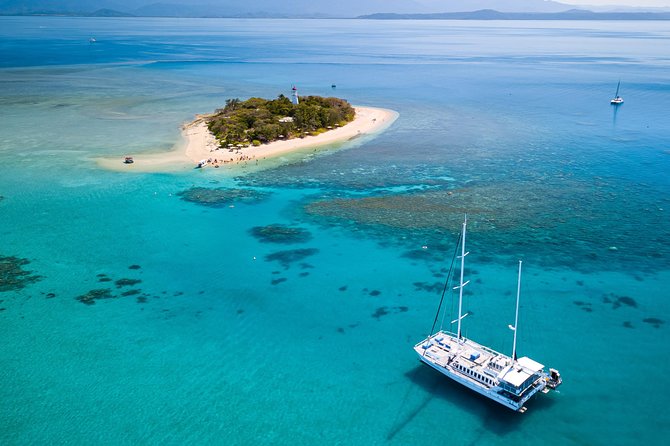 Half Day Low Isles Snorkelling Tour from Port Douglas - Morning or afternoon: which suits you?