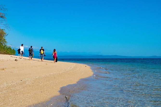 Half Day Low Isles Snorkelling Tour from Port Douglas - How the snorkelling works