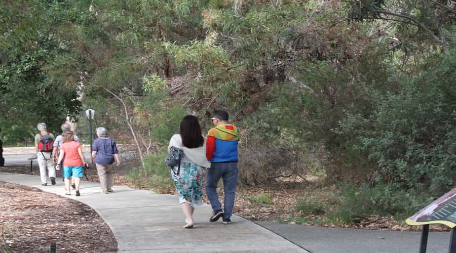 Half-Day Morning Perth & Fremantle City Explorer - What this Perth and Fremantle tour is really for