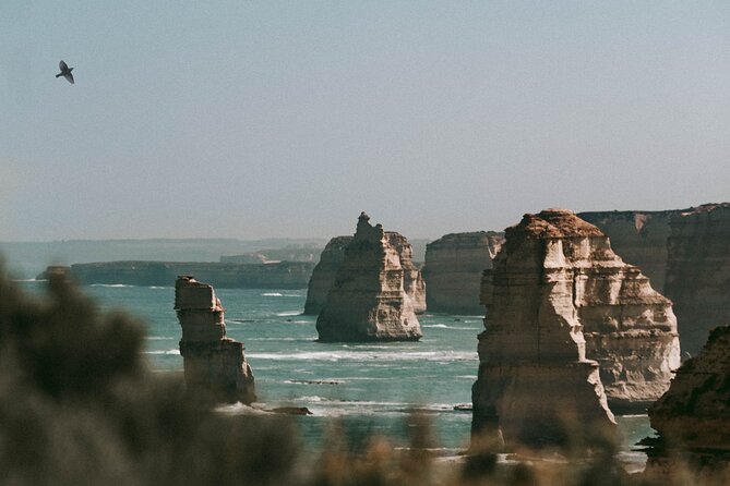 Half-Day or Full-Day Tour with Private Guide from Melbourne - City sights, coffee, markets, and local neighborhoods