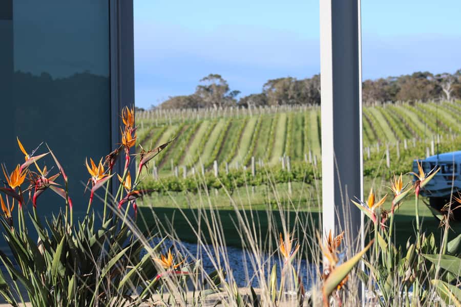Half day Wine and Sights Discovery Tour Busselton - Why this tour works for a short Margaret River visit