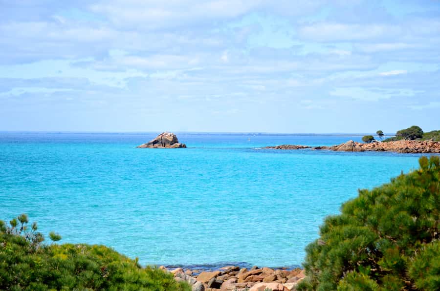 Half day Wine and Sights Discovery Tour Busselton - Stories from people who grew up here
