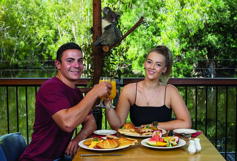 Hartley's Crocodile Adventures: Hartley's Koala Breakfast - The koala encounter lasts longer than a quick photo