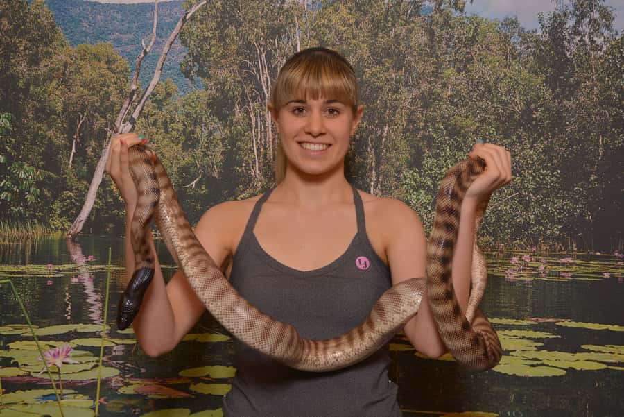 Hartley's Crocodile Adventures Park Entry - Key points to know before you go