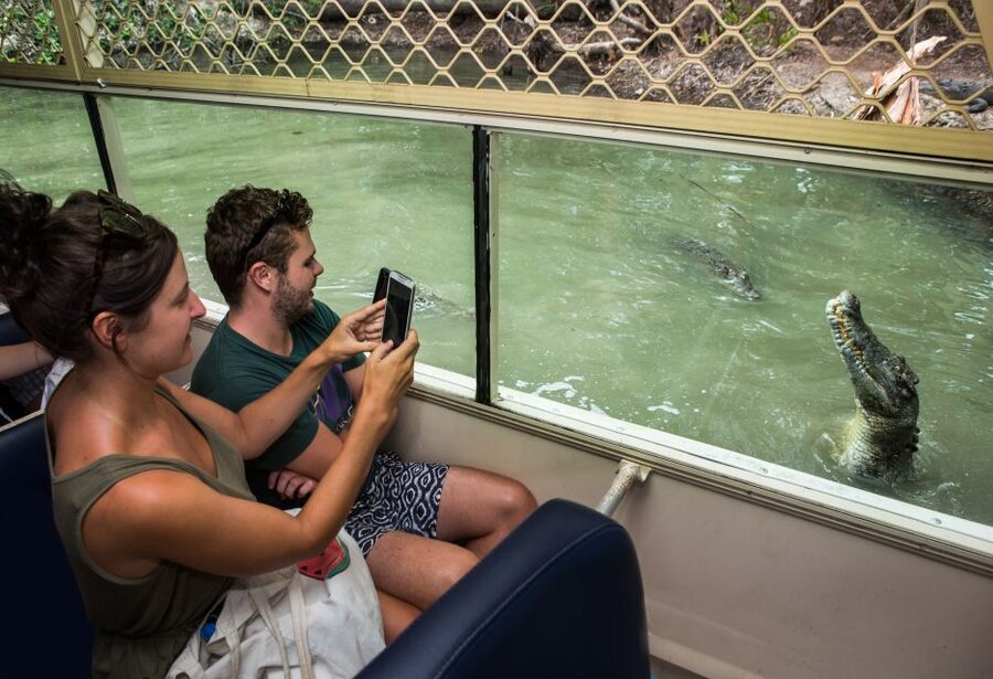 Hartley's Crocodile Adventures Park Entry - Learning About Venomous Snakes