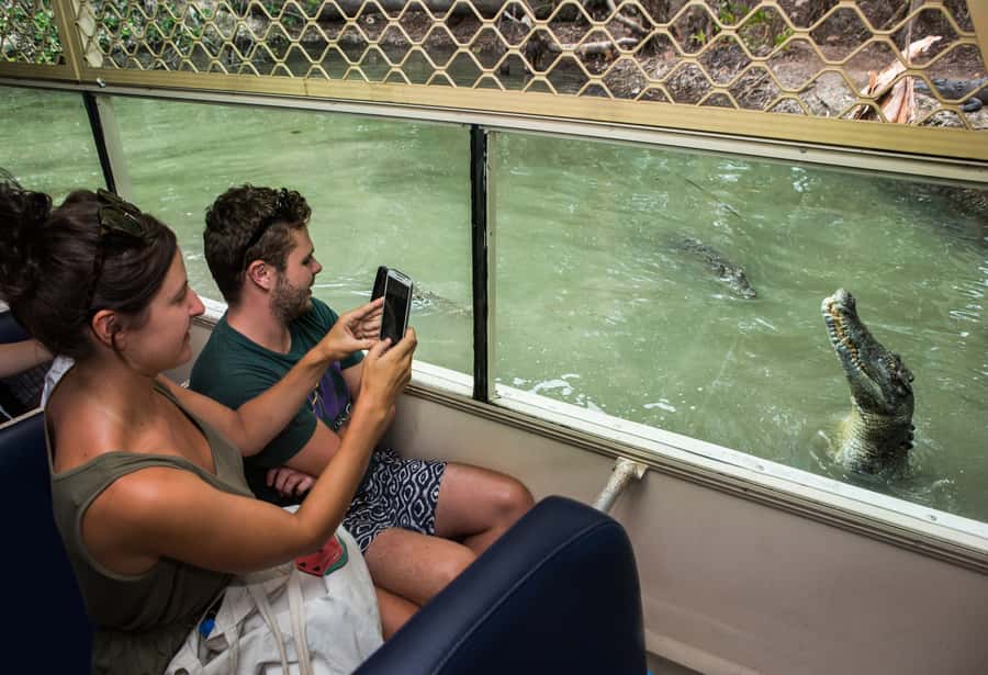 Hartley's Crocodile Adventures Park Entry - Exploring 2,500 Meters of Wildlife Paths