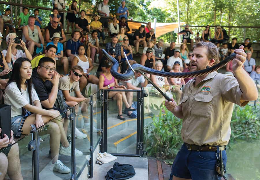 Hartley's Crocodile Adventures Park Entry - Is the $33 Entry Fee Good Value?