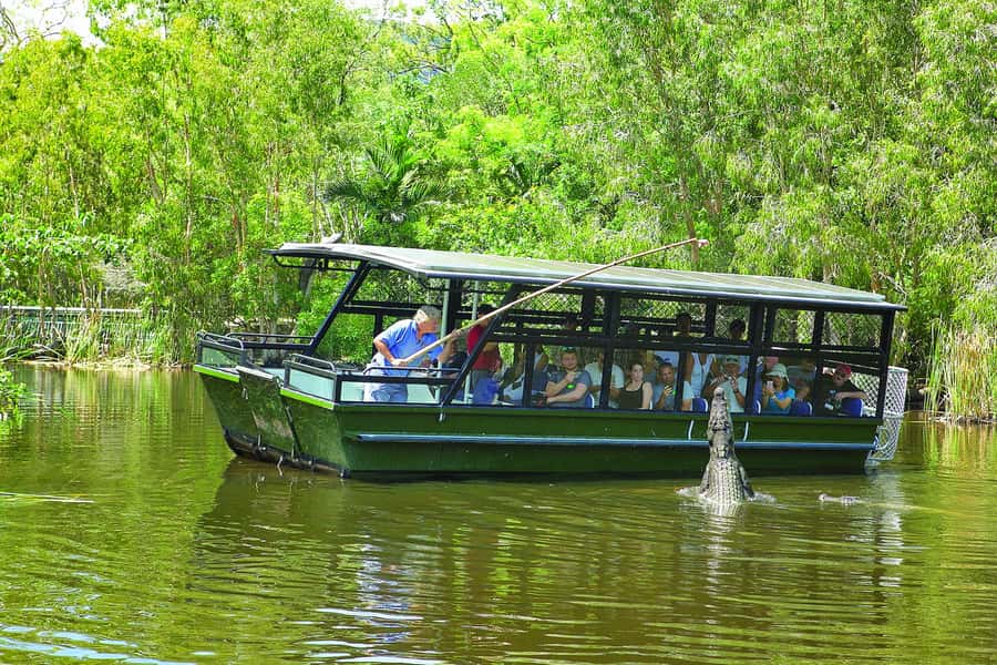 Hartley's Crocodile Adventures Park Entry - Starting With the Wetland Boat Cruise