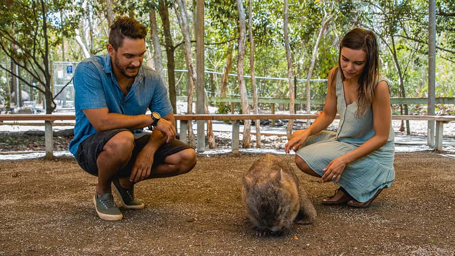 Hartley's Crocodile Adventures: Zootastic 5 + Entry Ticket - What the $106 ticket really buys you