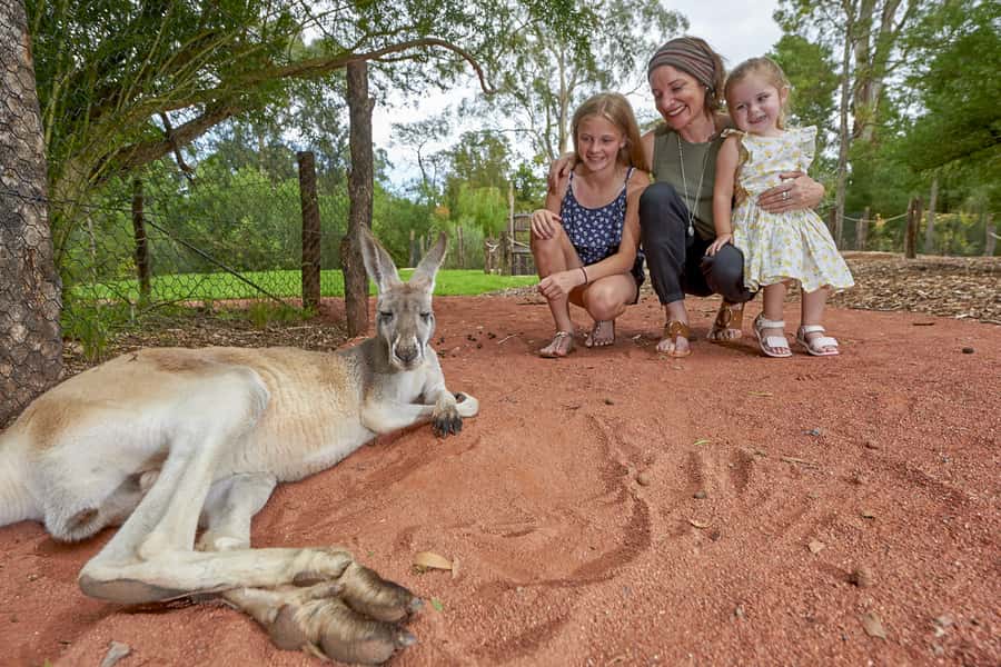 Healesville Sanctuary: General Admission Ticket - Why Healesville Sanctuary works so well
