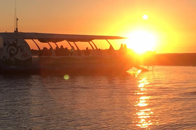 Hervey Bay Champagne Sunset Sail - Wildlife sightings around calm water
